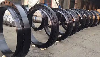 Alloy Steel Flanges