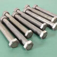 Stainless Steel Hex Bolts